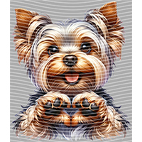 Valentine's Day-QRJ  4686